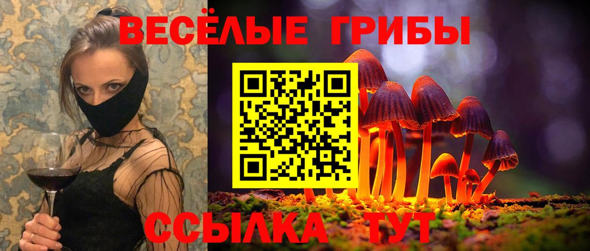 Донской  Галлюциногенные грибы Cubensis  Вход с VPN 